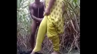 Desi mms porn New indian video Village Girl Fucked Middle Of Sugarcane Field