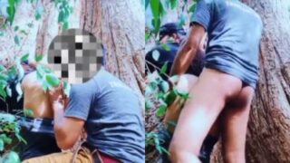 Fsiblog com Desi sex video couple fucking below a big tree